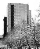 IMG_6694web.jpg