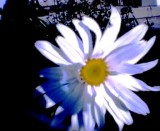 3104005.jpg