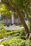 Trees and Sculpture