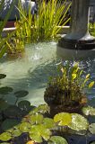 Detail, East Garden