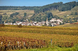 Small wine village