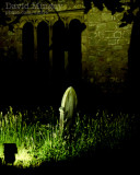 May 30: Grave