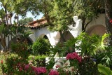 Rose garden