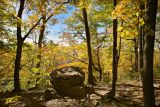 Rattlesnake Point
