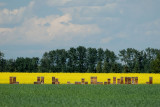 DSC_4140.jpg