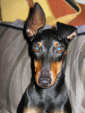look into my eyes..
