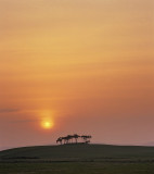 Sunsink Nairn