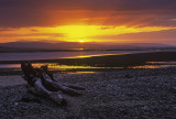 Findhorn Firewood