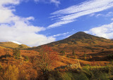 Autumn Lomond