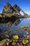 Bowfiddle Reflected