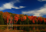 Blue Sky, Red Leaves