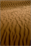 Ripples in the Sand