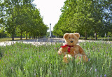 In the Park of Friendship.
