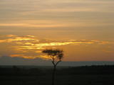 Kenyan and Tanzanian Scenes 2008,2011,2012