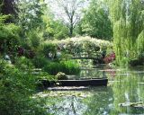 Monet's Garden at Giverney 2002
