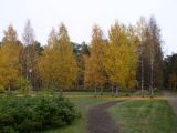 P1010022.JPG