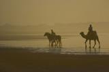 Ballade sur la plage