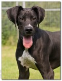 Max
