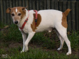 2008_Max (van Smokey)
