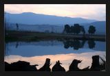 Berghaven<br><br>Dam I