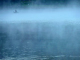 Un pcheur dans la brume matinale - A fisherman in the morning mist