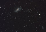 NGC 2146