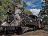 The Puffing Billy