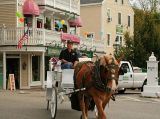 The only workhorse in town!