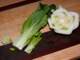 Bok Choy Different Angle