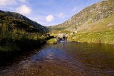 Corrie Fee.