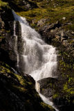 Corrie Fee.