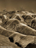 Cheltenham Badlands, Ontario