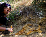 Katerina excavating Rhino Skull