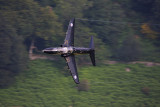 IMG_8905.JPG
