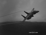 0595_1 copy.jpg