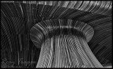 senedd-ceiling.jpg