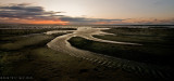 _DSC9817--ewtmk.jpg