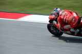 Nicky Hayden MotoGP (9539)