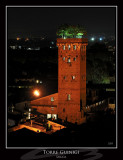 Torre Guinigi - Lucca