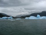 IMG_2852.jpg