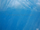 IMG_2857.jpg