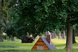 Hobbiton