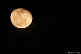 The solstice moon? June 21 2008
