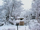 jardin-neige-03-05 1.JPG