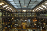 Jules ANDRE la Galerie de l'Evolution