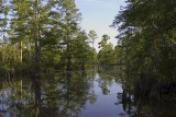 Pascagoula Bayou.jpg