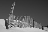 Dunes and Fence b/w