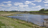 GP4252-Airdrie May 08.jpg