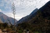 At the Inca trail