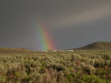 Rainbow, Malheur Field Station